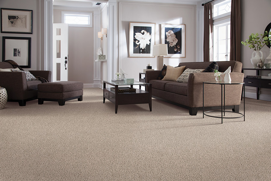 Carpet 3