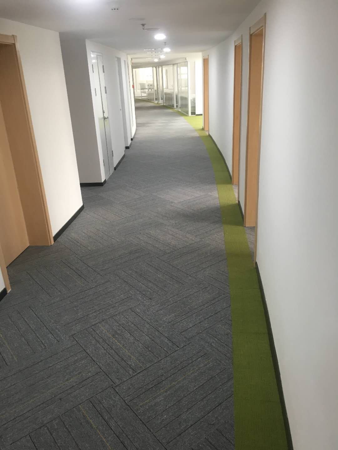 Carpet 6